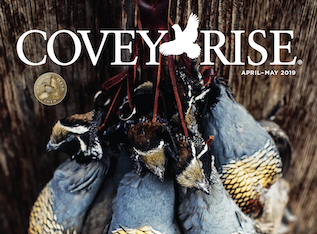 Covey Rise Magazine