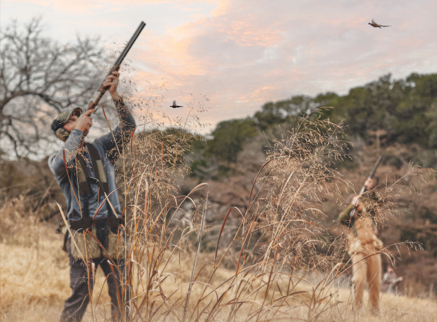 Driven Pheasant Shooting