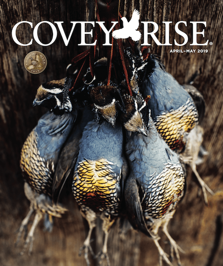 Covey Rise Magazine