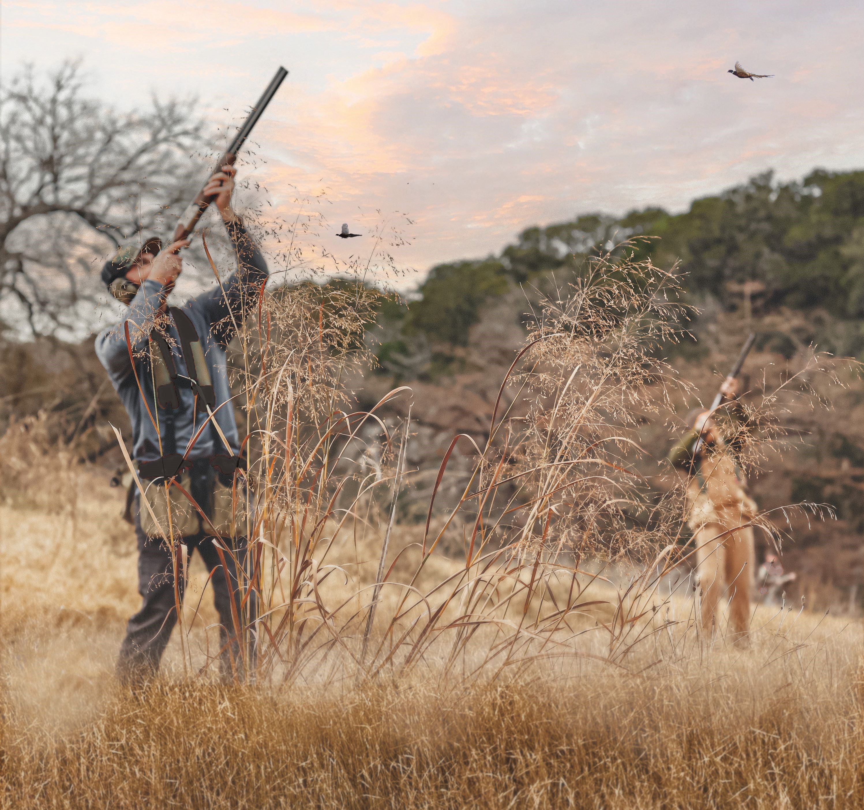 Driven Pheasant Line Shoots