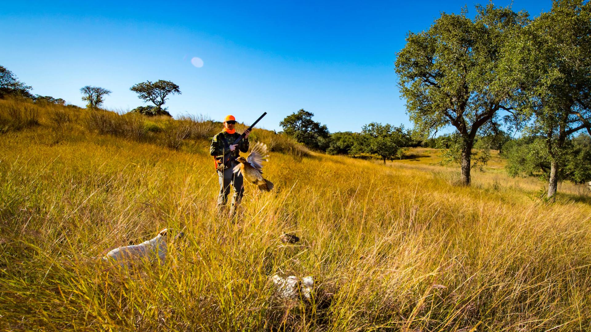 Hunting at Joshua Creek Ranch