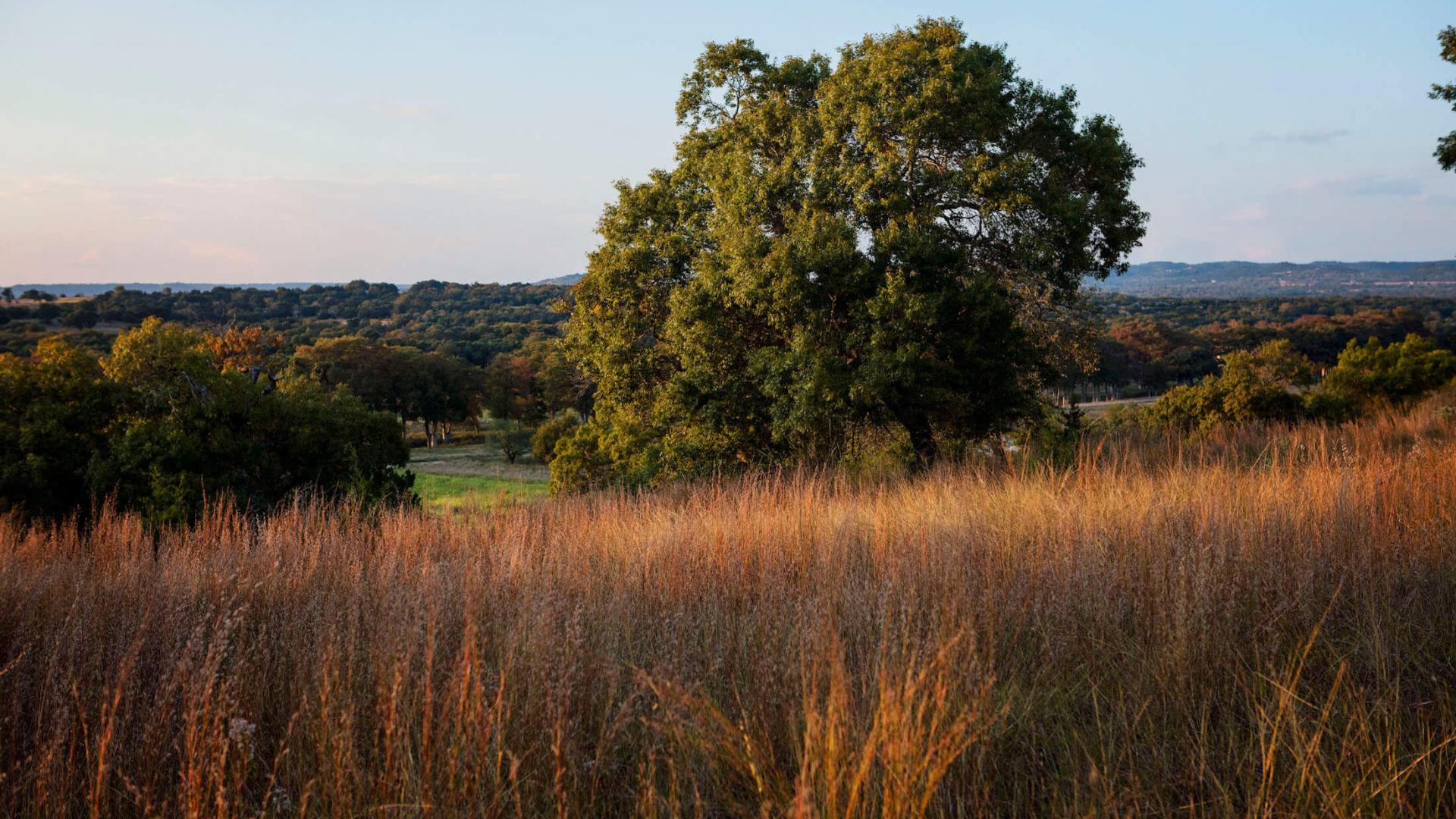 About Joshua Creek Ranch