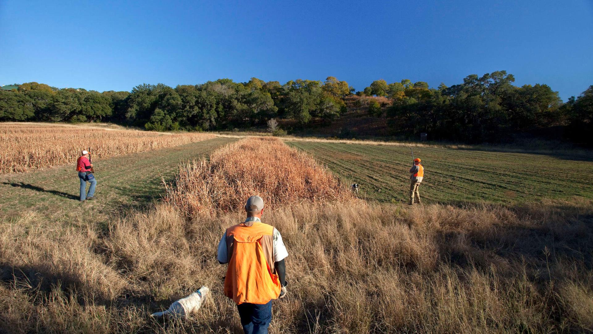 FAQs for Joshua Creek Ranch