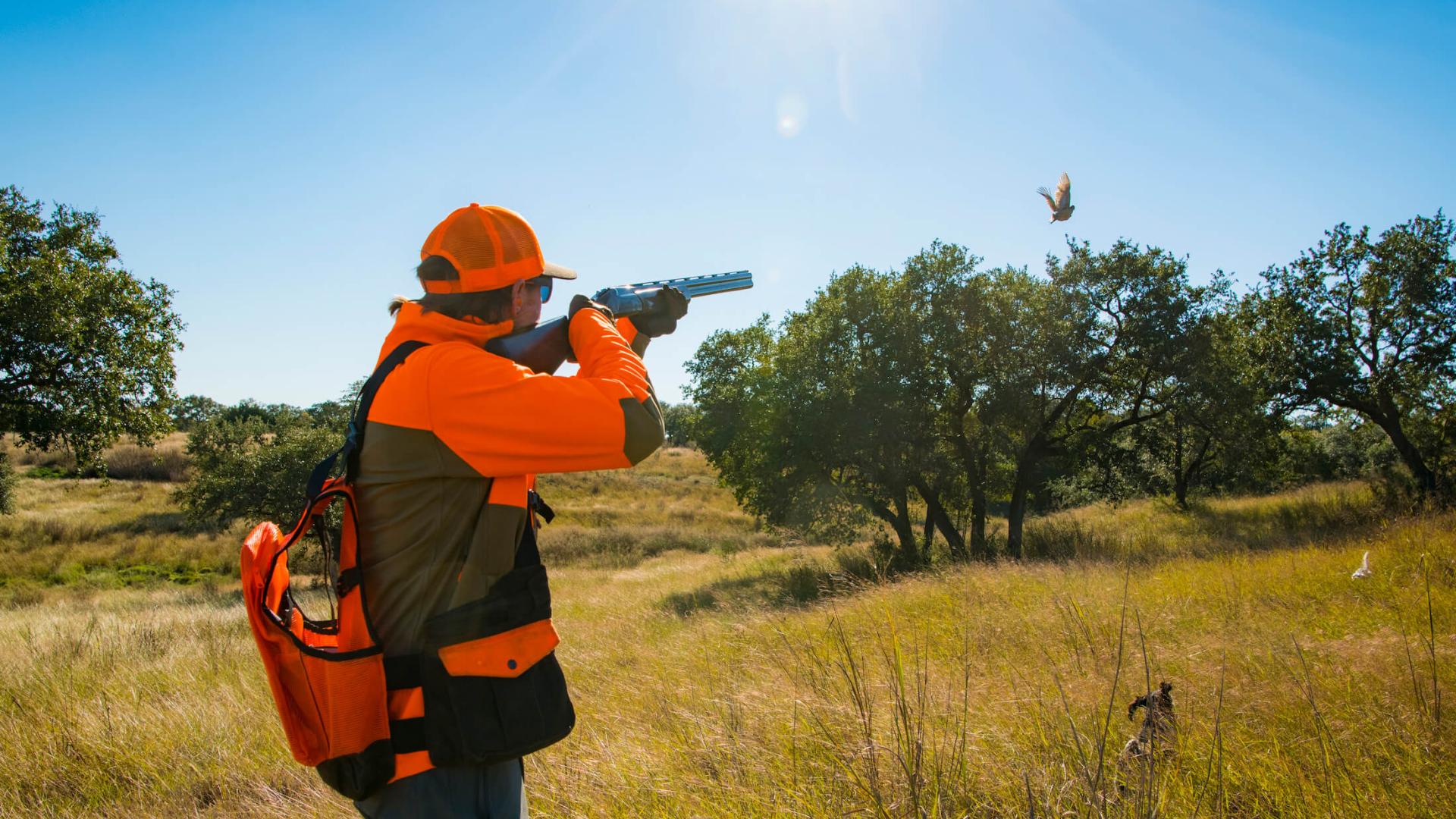 Wingshooting at Joshua Creek Ranch