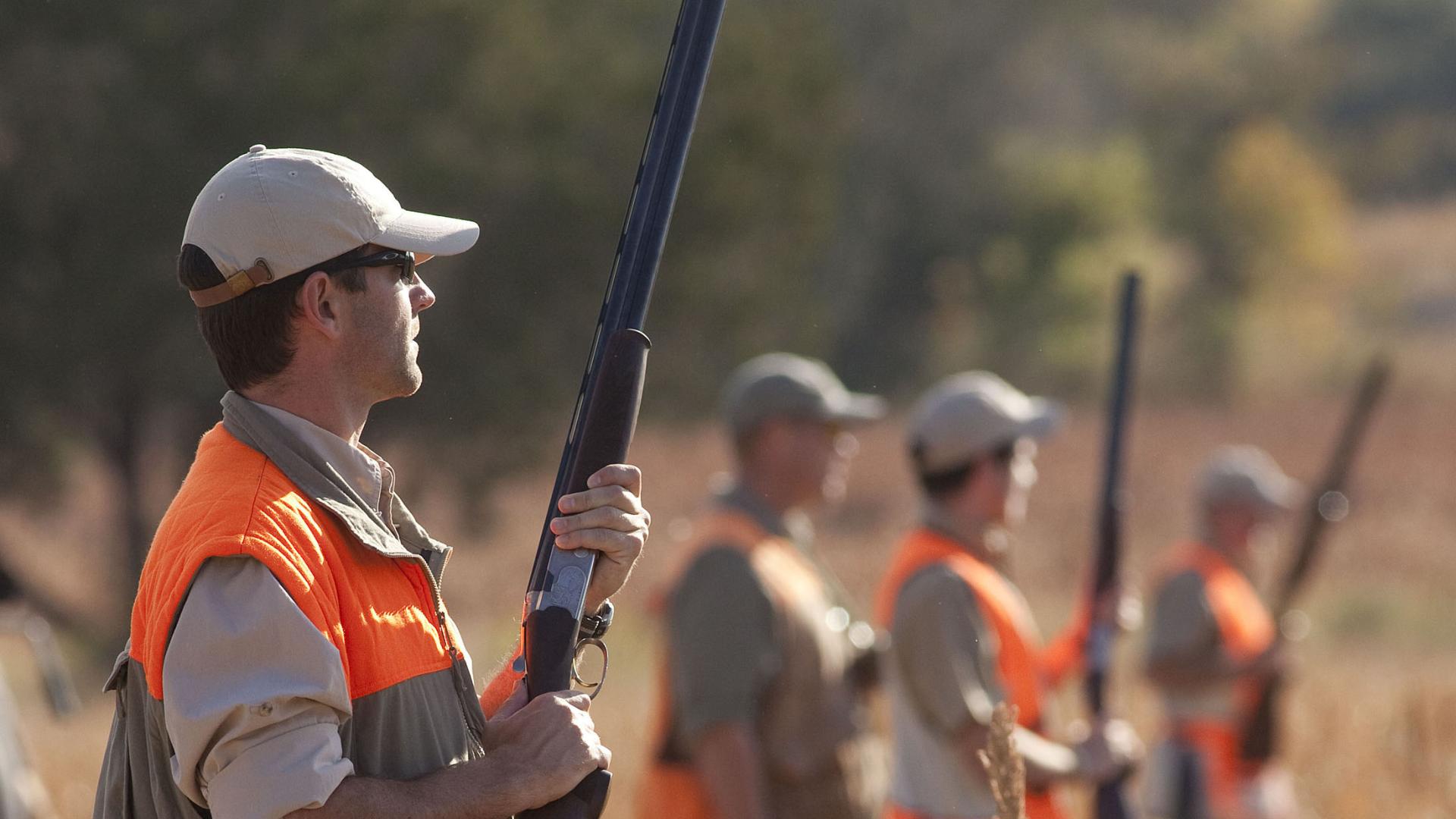 Driven Pheasant Line Shoots