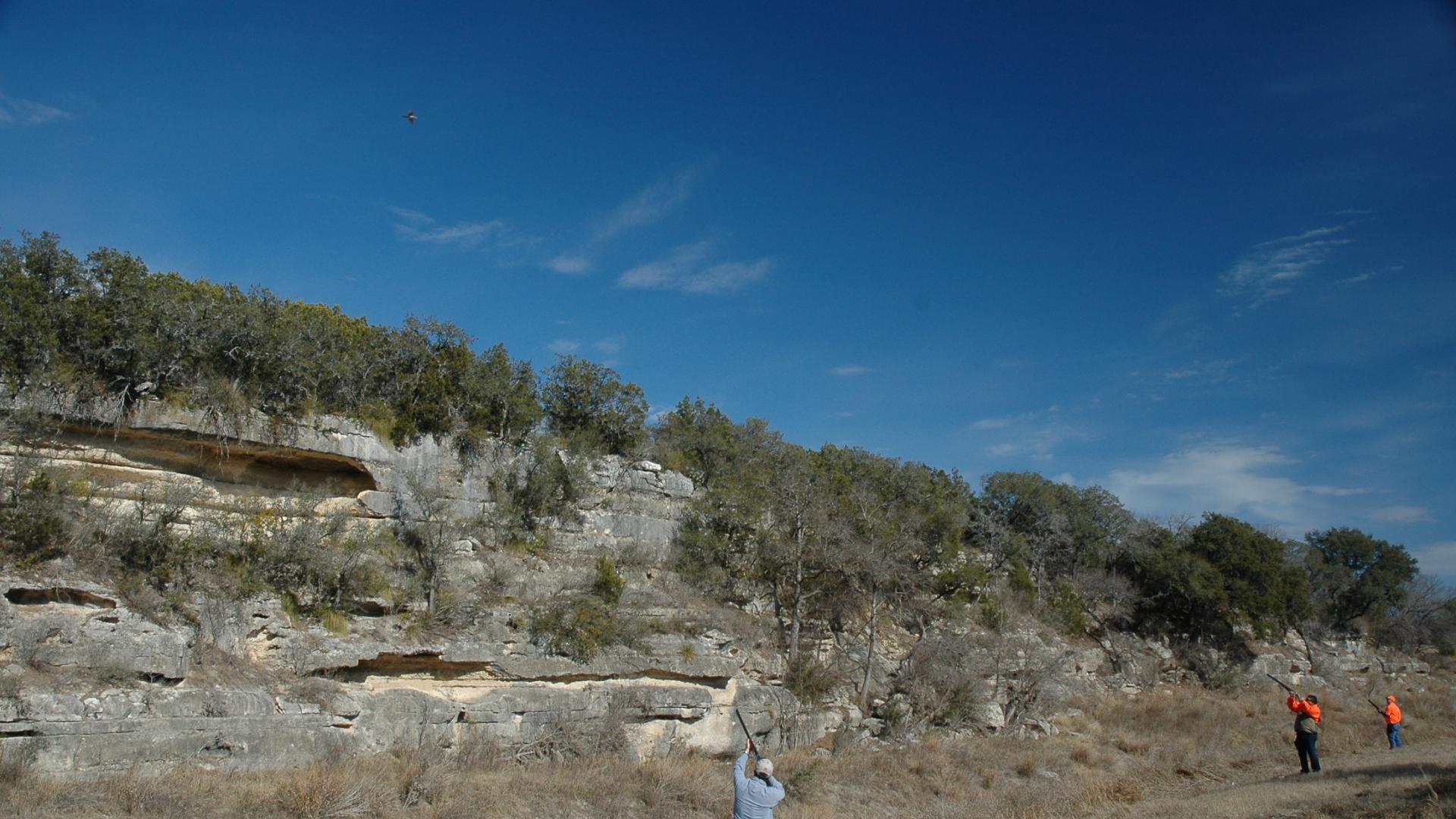 Wingshooting at Joshua Creek Ranch