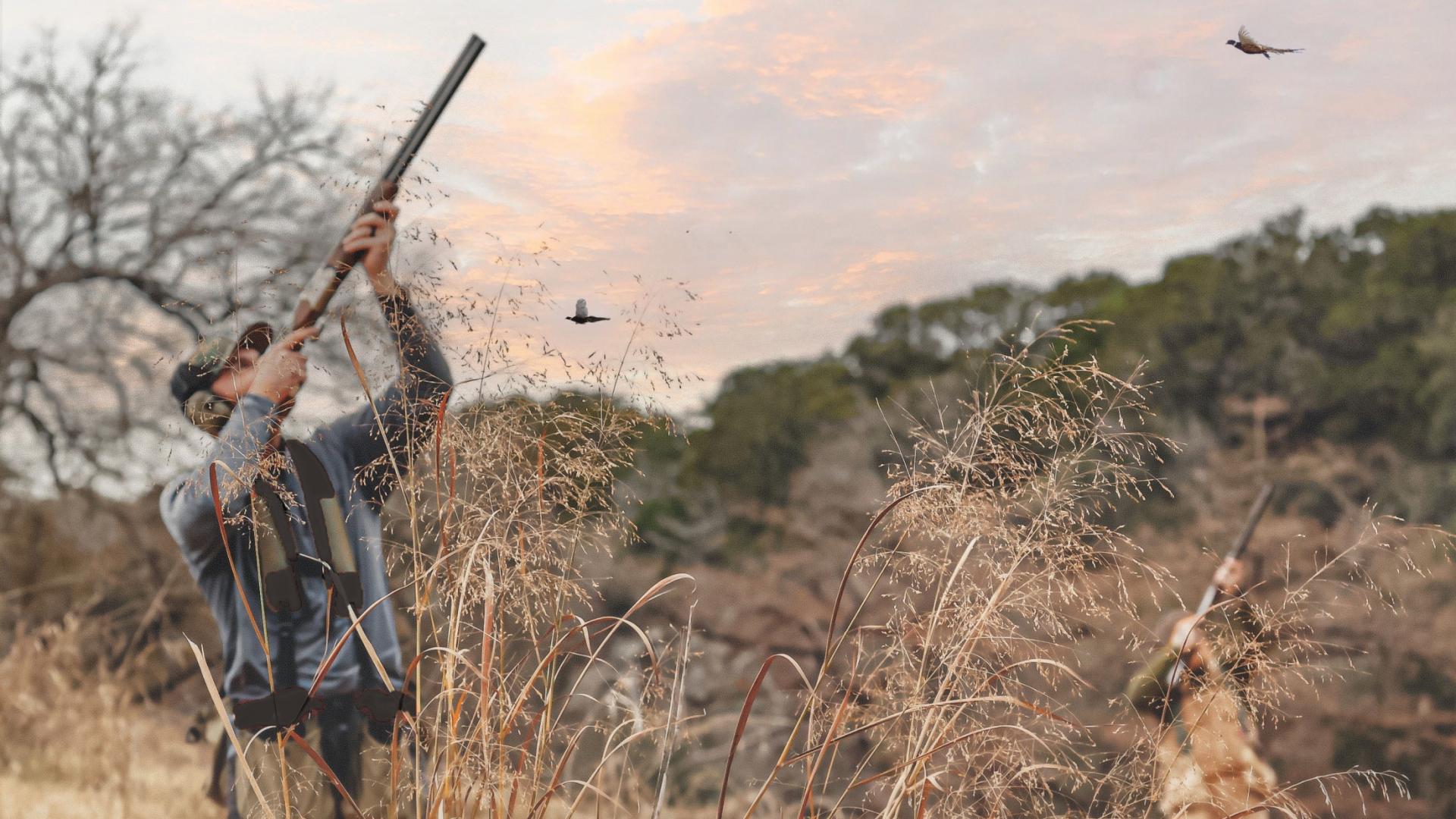 Driven Pheasant Shooting